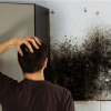 Damp-proofing-Henley-on-thames-5